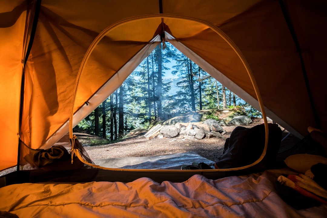 Unconventional Ways to Explore Nature: A Journey Beyond the Beaten Path